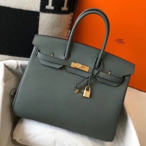 Hermes Birkin 35 Bag in Vert Amande Clemence Leather with GHW