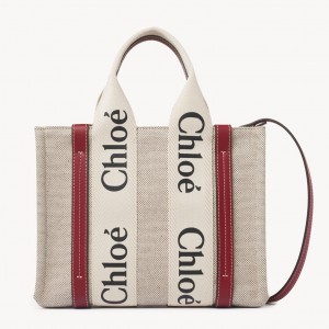 Chloe Small Woody Tote Bag in Canvas with Camel Leather Strips 