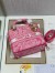 Dior Lady D-Lite Medium Bag In Fluorescent Pink Toile de Jouy Reverse Embroidery