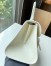 Delvaux Brillant Mini Bag in Ivory Box Calf Leather