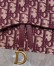 Dior Saddle Chain Pouch In Bordeaux Dior Oblique Jacquard