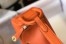 Hermes Lindy Mini Bag In Orange Clemence Leather GHW
