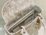Dior Lady D-Lite Medium Bag In Gold Jardin d'Hiver Embroidery