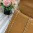 Delvaux Brillant Mini Surpique Bag in Brown Rodeo Calf Leather
