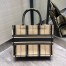 Dior Medium Book Tote Bag In Black and Beige Bayadère Embroidered