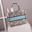 Dior Medium Book Tote Bag In Latte D-Constellation Embroidery