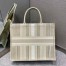 Dior Large Book Tote Bag In Beige Stripes Embroidery