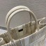 Dior Large Book Tote Bag In Beige Stripes Embroidery