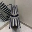 Dior Large Book Tote Bag In Blue Stripes Embroidery