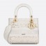 Dior Lady D-Lite Medium Bag in Embroidery with Macrame Effect